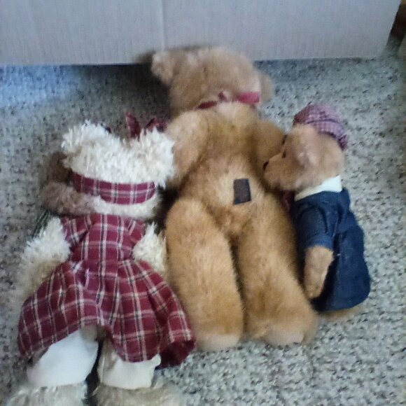 Boyd's bear - Picture 2 of 2